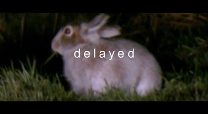 'One Minute Hare Chase' - Steve Dutton